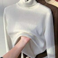 Turtleneck Winter Sweater Women