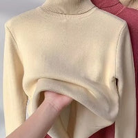 Turtleneck Winter Sweater Women