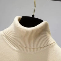 Turtleneck Winter Sweater Women