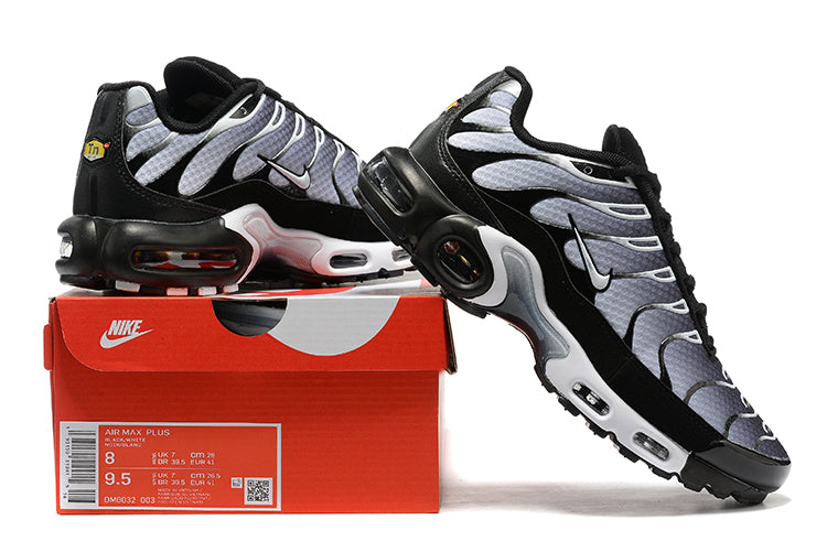 Nike Air Max Plus Black/Silver DM0032-003