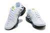 Nike Air Max Plus “Five Swoosh” / DV6821-100