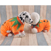 Funny Pet Costumes Cat Dog N.4 (Halloween)