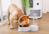 Pet Bowl and Drink Tool