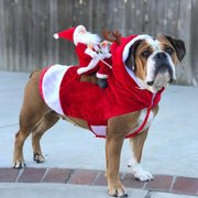 Funny pet costumes cat dog N.5 (Christmas2)