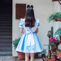 Alice In Wonderland Party Cosplay Costume CC2970