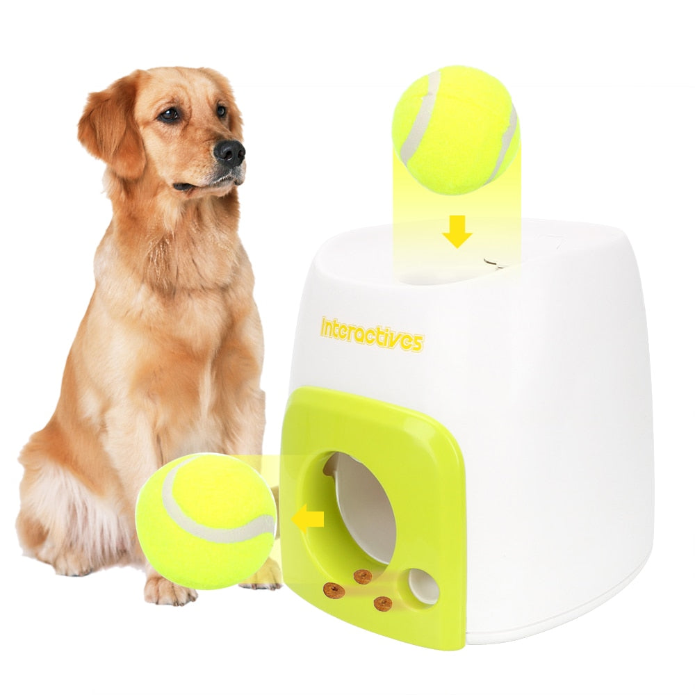 Automatic Throwing Machine (Dogs)